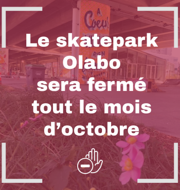 Olabo skatepark fermé en octobre